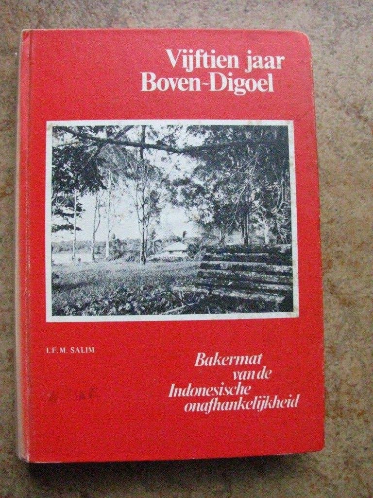 15 jaar Boven-Digoel N.N.G, Ophalen of Verzenden, Gelezen, Beno Hofman