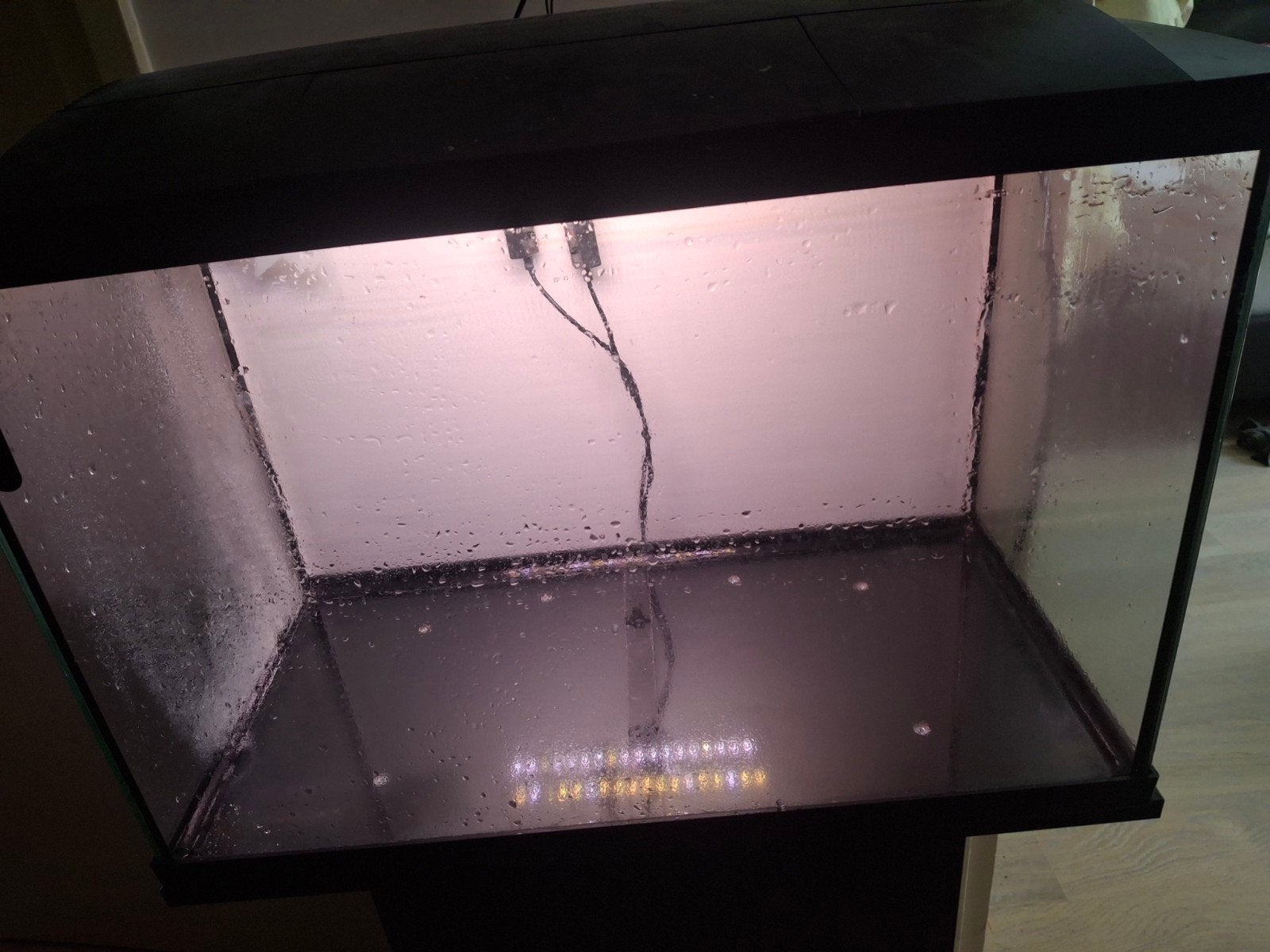 Leuk superfish aquarium met kast, Dieren en Toebehoren