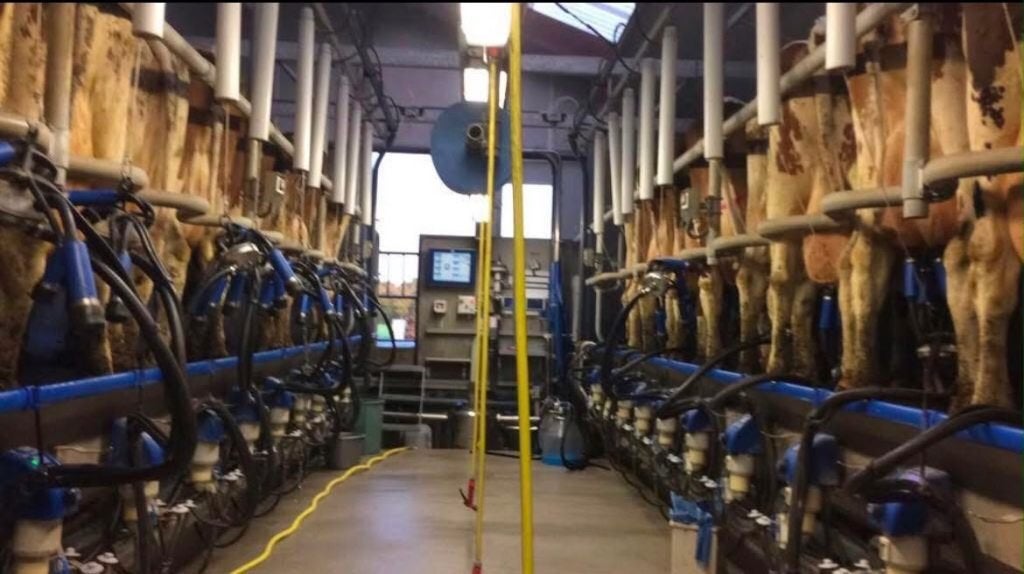 Melkstal SAC 2 x 12 zij aan zij, Ophalen, Veehouderij, Melktechniek