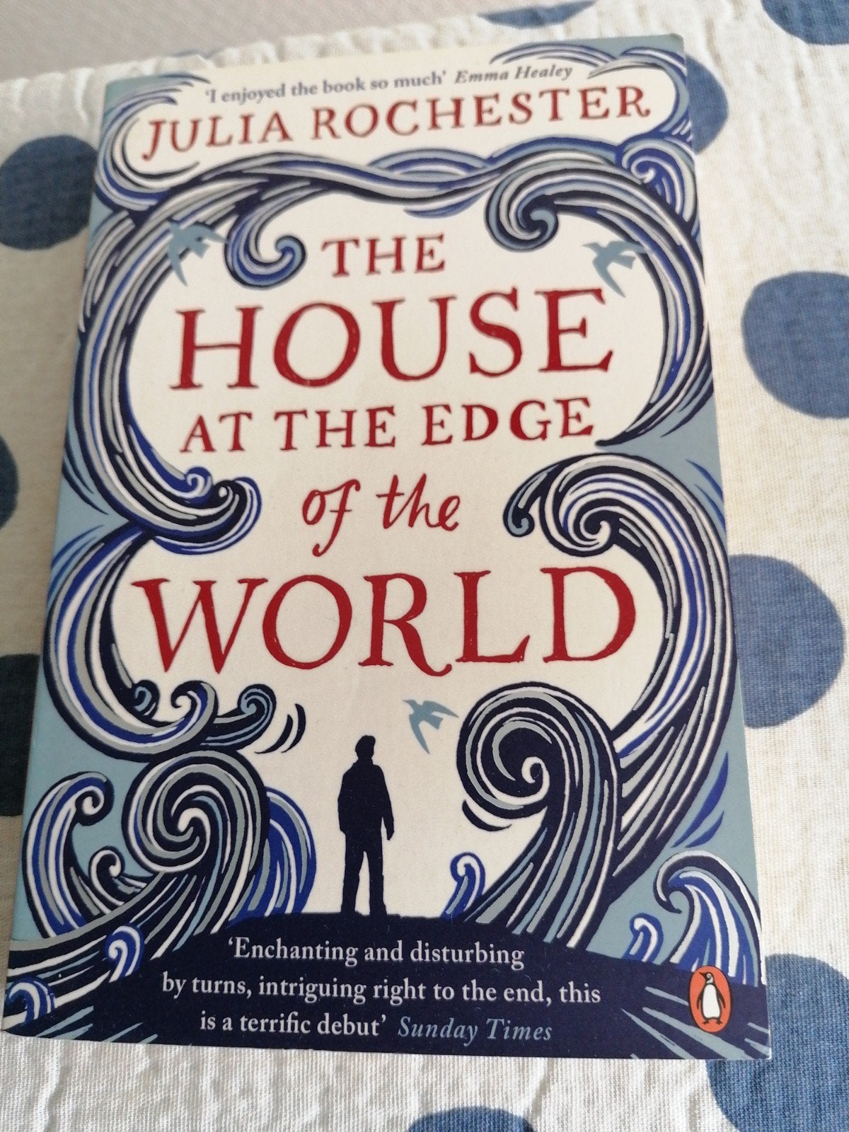 Julia Rochester - The House at the Edge of the World, Ophalen of Verzenden, Gelezen, Julia Rochester