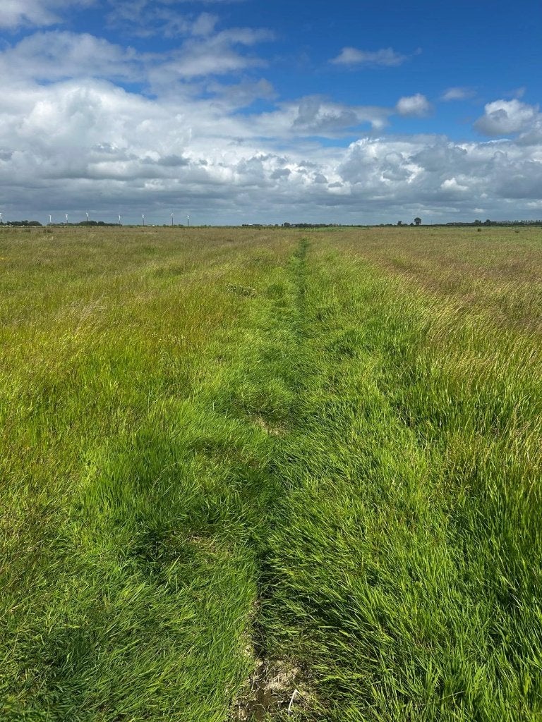 Kuil balen voor paarden, Ophalen of Verzenden
