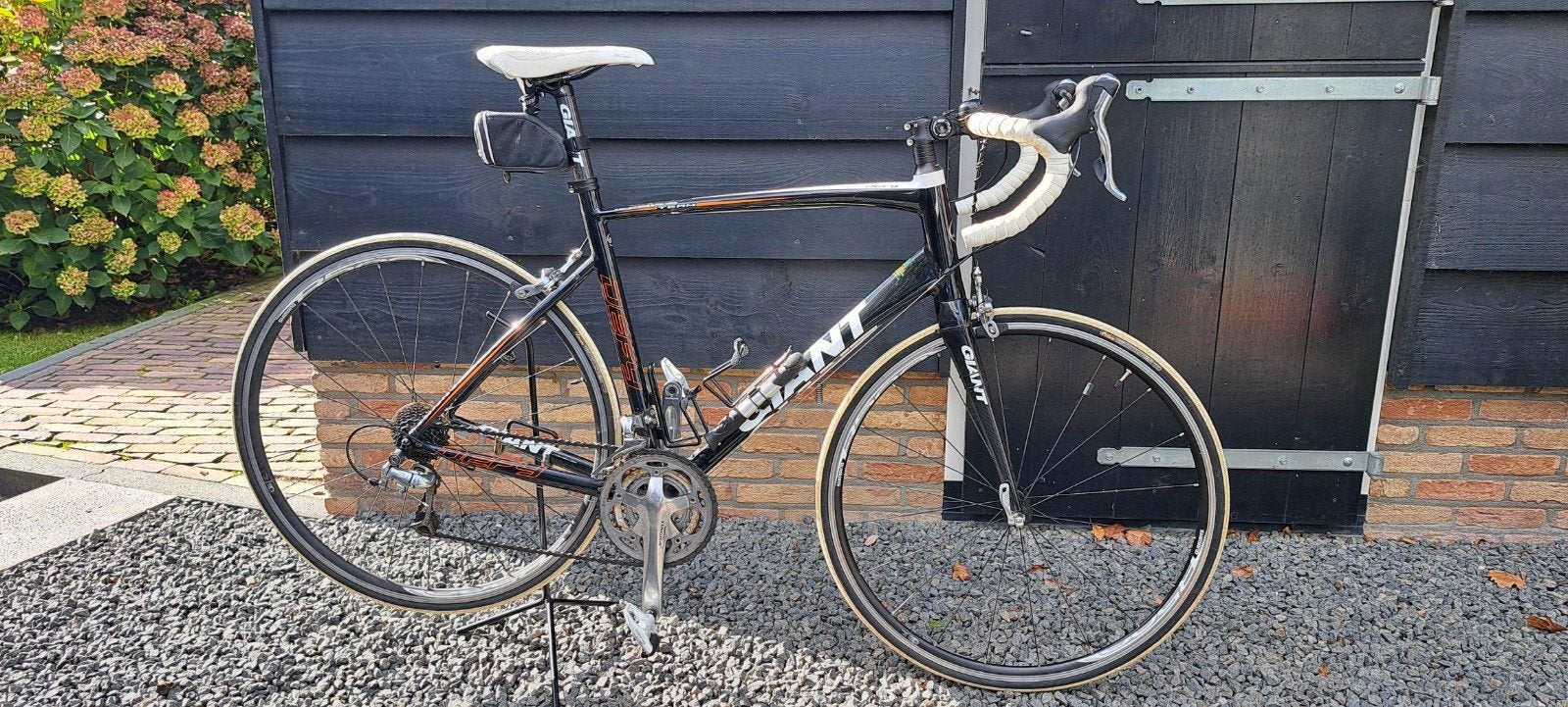 Giant Defy maat L, Ophalen, Zo goed als nieuw, Heren, Giant