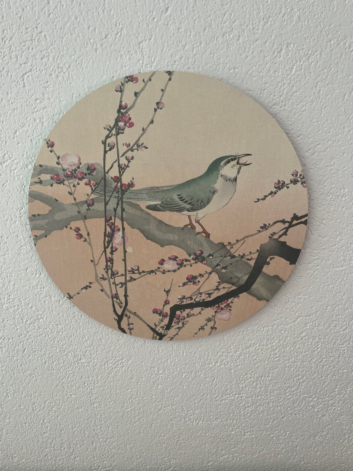 Ronde wanddecoratie met vogel en bloesem, 40 cm, Antiek en Kunst, Kunst | Schilderijen | Klassiek, Ophalen, Overige stijlen, Overige ondergronden