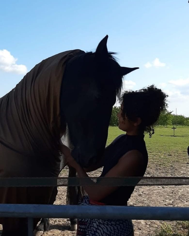 Gezocht: fries paard als bijrijdpaard, Ophalen of Verzenden