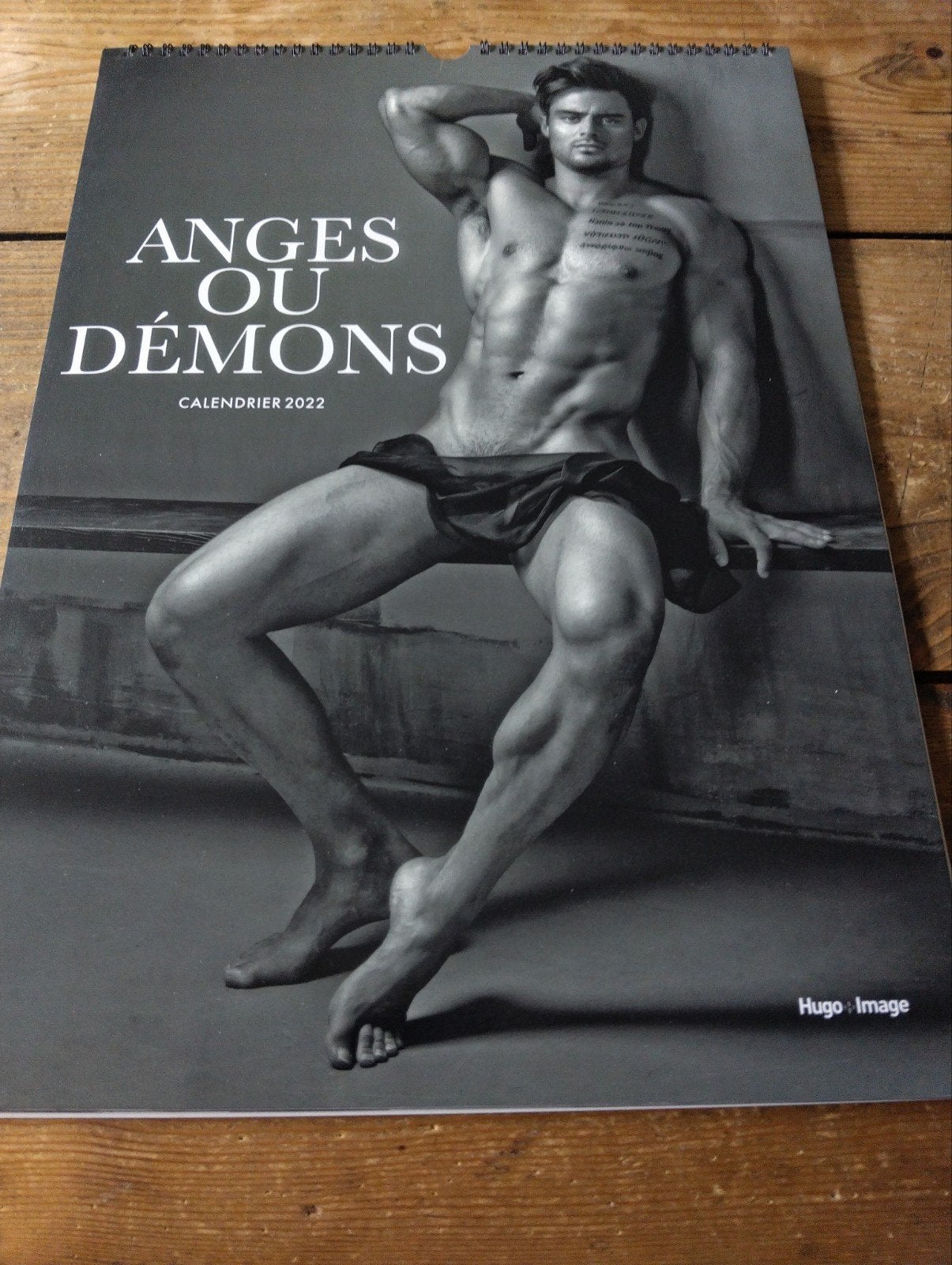 Gay, homo. Agnes ou Démons kalender 2022 formaat 43/31 cm, Ophalen of Verzenden, Maandkalender, Nieuw