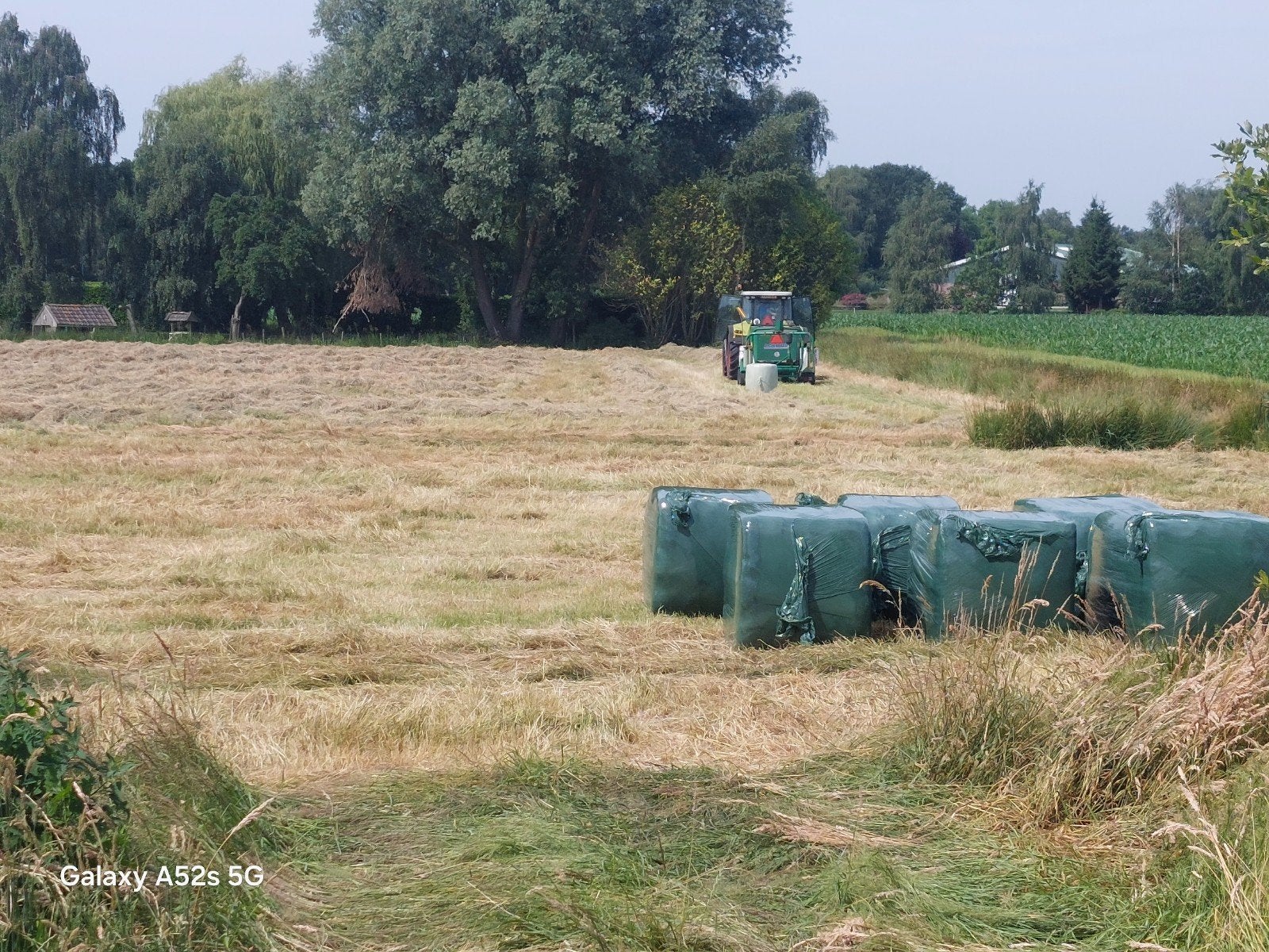 Hooi te koop aangeboden, Dieren en Toebehoren
