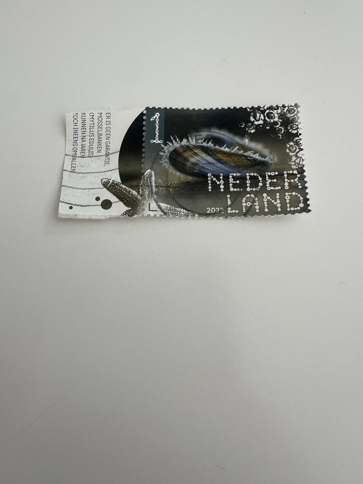 Gewone mossel met tab 2022, Ophalen of Verzenden