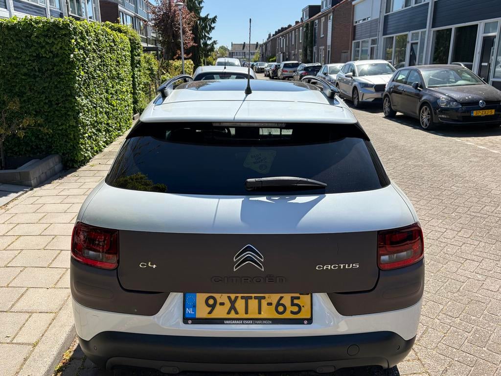 Citroën C4 Cactus 2014 Airco Panorama Camera, Auto's, Citroën, Stof, 725 kg, 31 €/maand, C4 Cactus