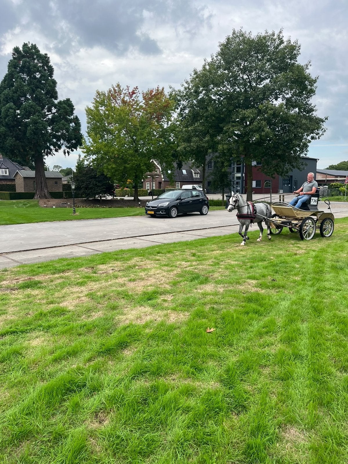 WelshA, Dieren en Toebehoren, Ruin, A pony (tot 1.17m), 3 tot 6 jaar