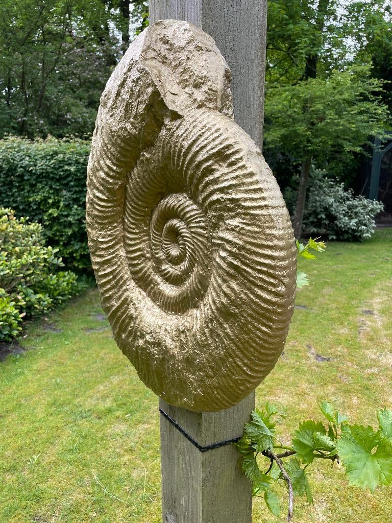 Beeld schelp goud, woonkamer, slaapkamer, interieur 30cm, Tuin en Terras, Tuinbeelden, Ophalen, Nieuw, Kunststof, Dierenbeeld