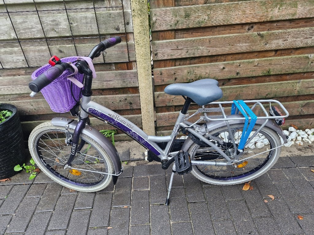 Meisjesfiets Loekie 20 inch, Ophalen, Terugtraprem, Gebruikt, Loekie