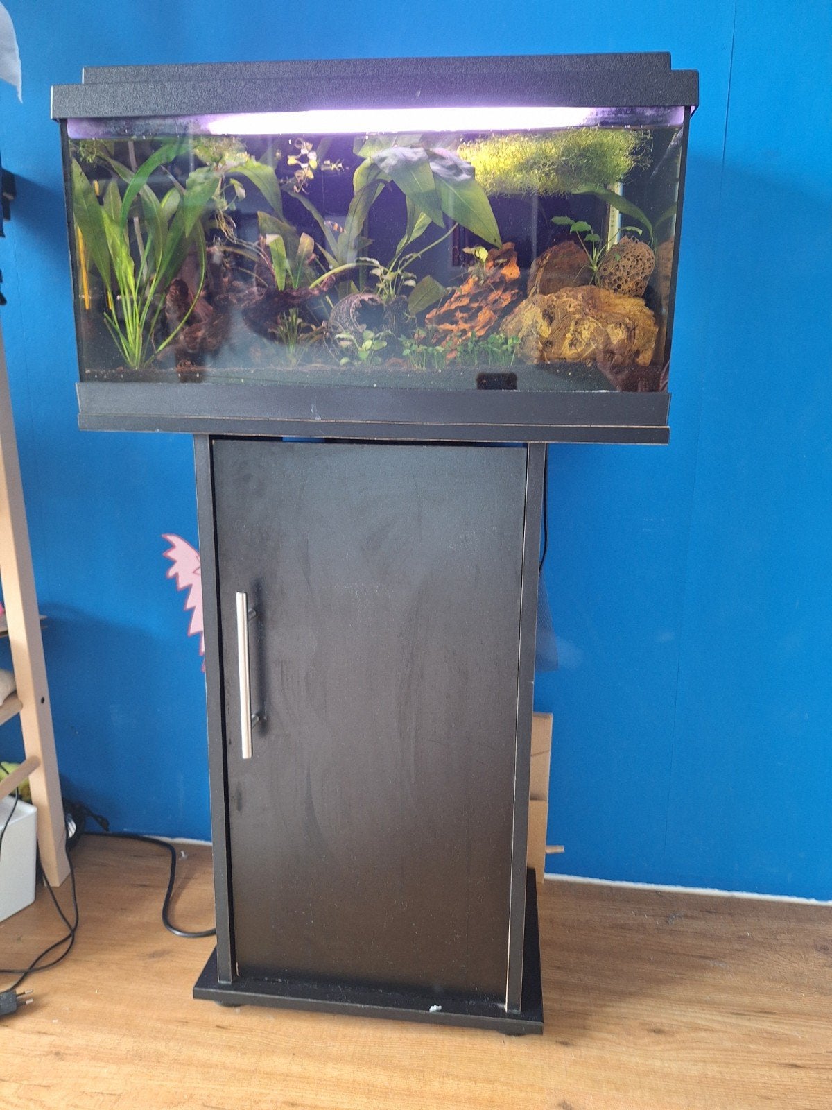 Aquarium met veel extra's, Ophalen