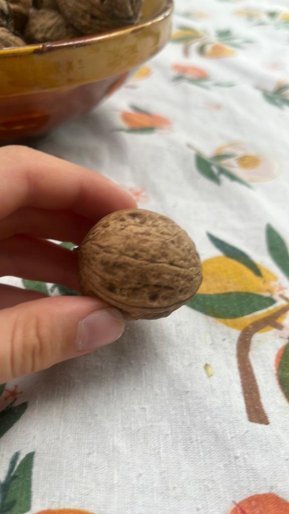 Een walnoot met drie kraaklijnen, Ophalen of Verzenden