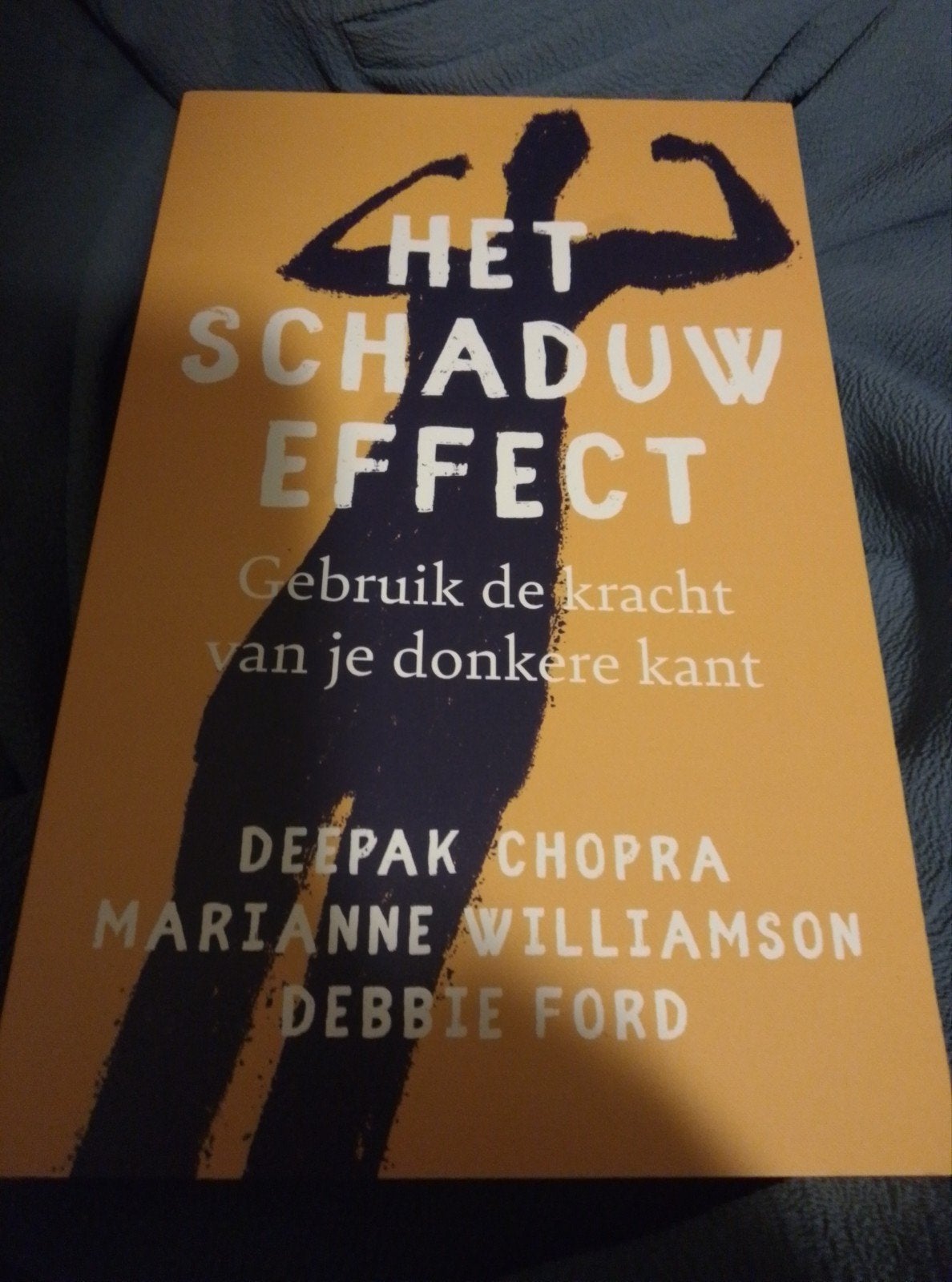 Deepak Chopra - Het schaduw effect, Ophalen of Verzenden, Deepak Chopra; Marianne Williamson; Debbie Ford, Ontwikkelingspsychologie