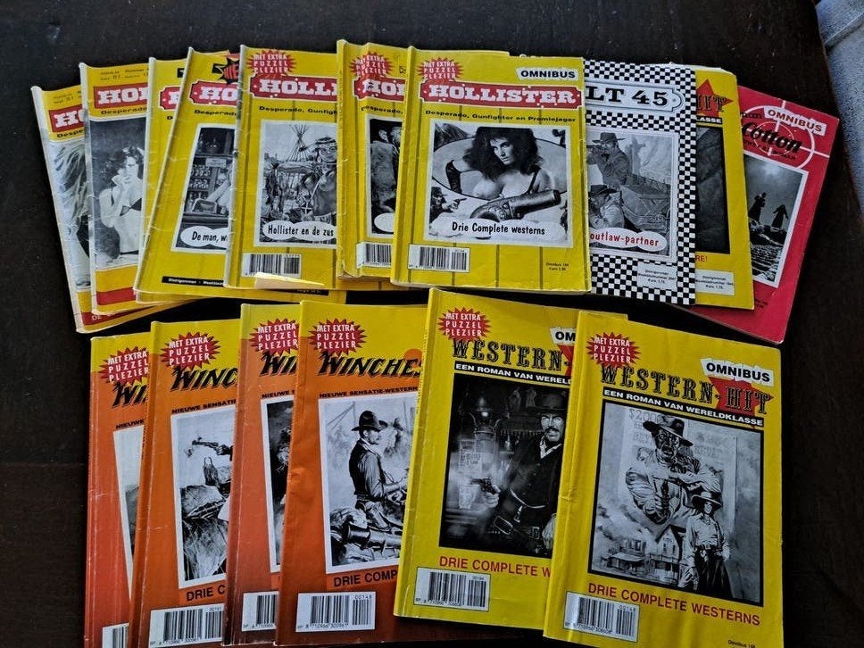 Westernpocketboekjes - Hollister, Winchester,Western, Ophalen of Verzenden, Gelezen, Nederland