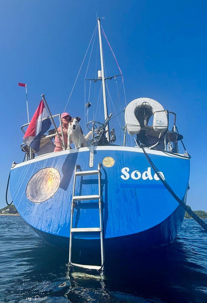 Aloa 29 zeilboot, motor Sole mini 17, diepgang 1.45 m, Veere, Ophalen, Gebruikt, 6 meter of meer