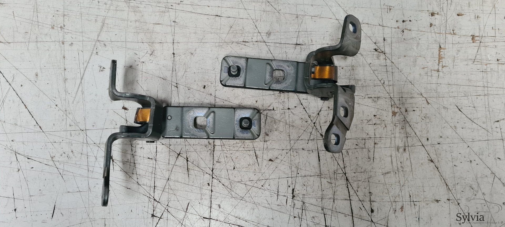 Scharnier kofferdeksel achterklep set BMW X5 E70 7170921 / 7, Gebruikt, -, -, Ophalen of Verzenden