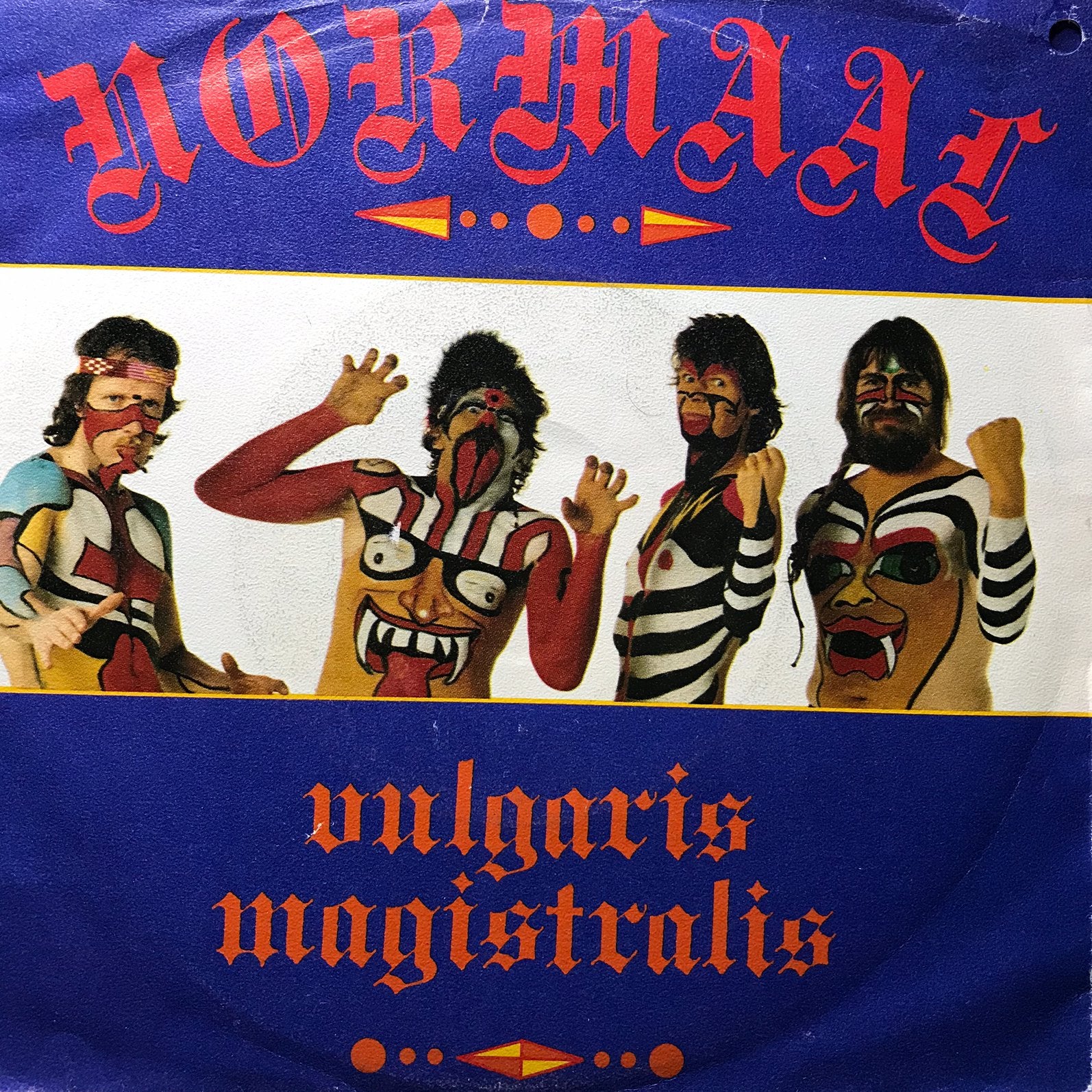 Normaal - Vulgaris Magistralis, Ophalen of Verzenden