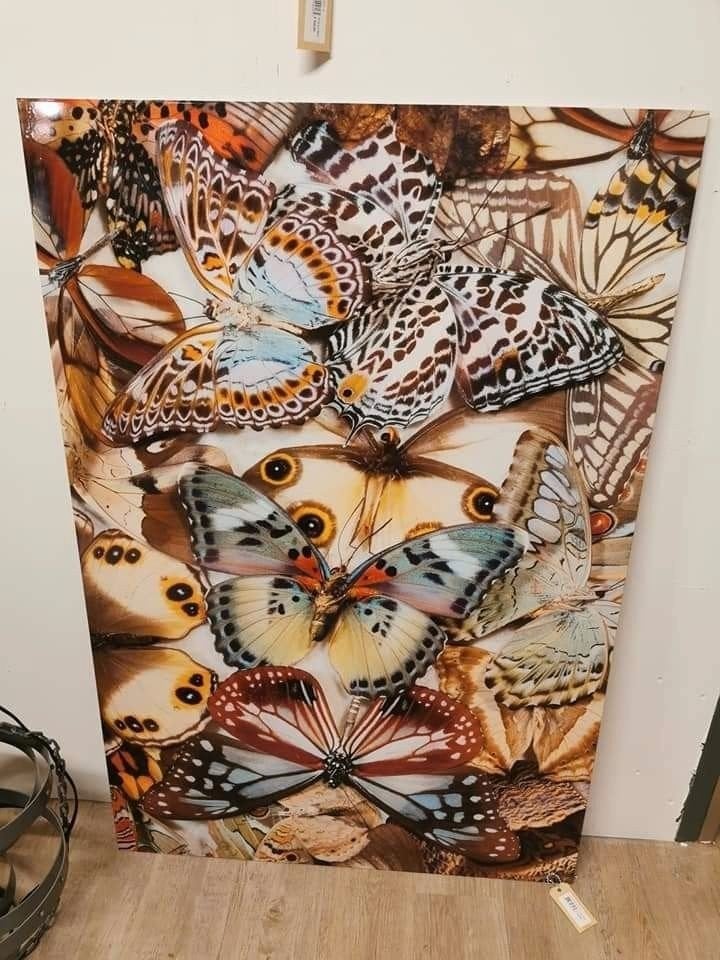 Aluminium Wanddecoratie Vlinders 60x120 cm, Huis en Inrichting, Ophalen, Metaal, Meerkleurig, Nieuw