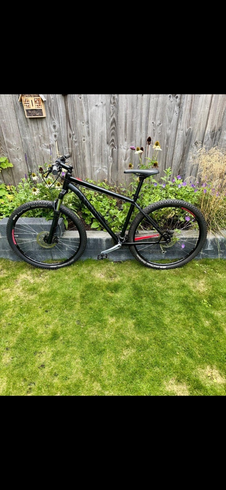 Grand Canyon AL 29er 2021, Minder dan 49 cm, Meer dan 20 versnellingen, Schijfrem, Ophalen