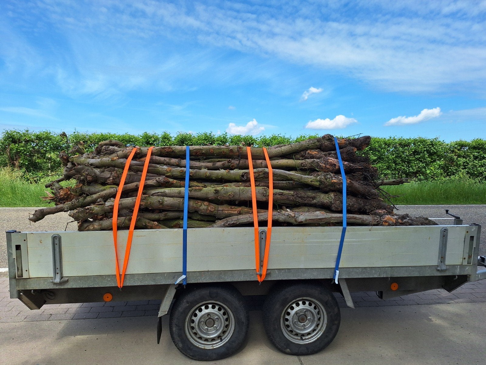 Appelboom stammen voor brandhout, Minder dan 3 m³, Ophalen, Overige houtsoorten, Takken