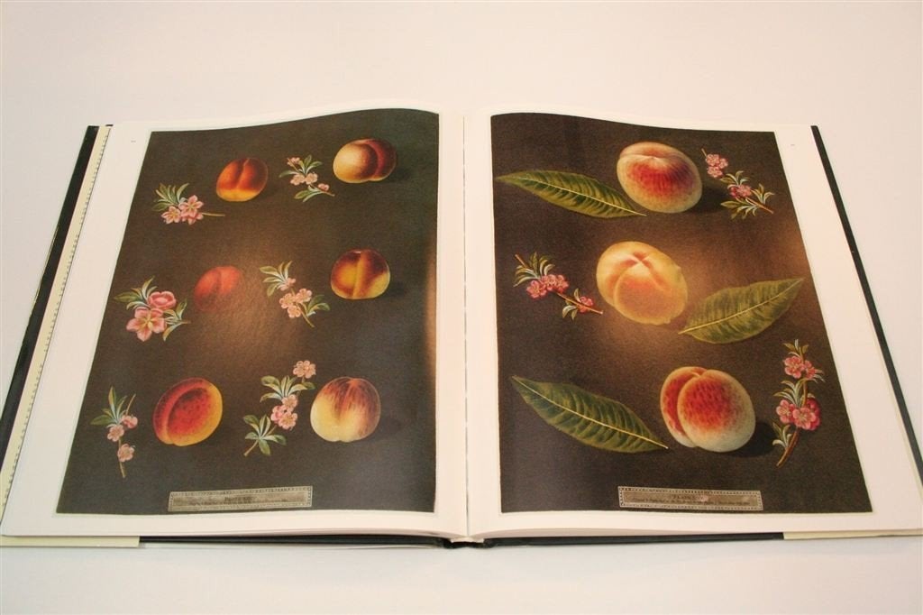 Pomona Britannica — Complete platen — Prachtig Kunstboek, Ophalen of Verzenden, Zo goed als nieuw
