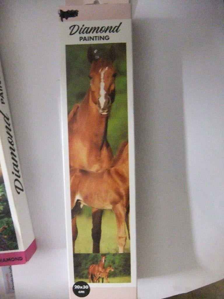 Diamond Painting Paard met Veulen 20x30 cm, Verzenden, Nieuw, Meerkleurig, Kunststof