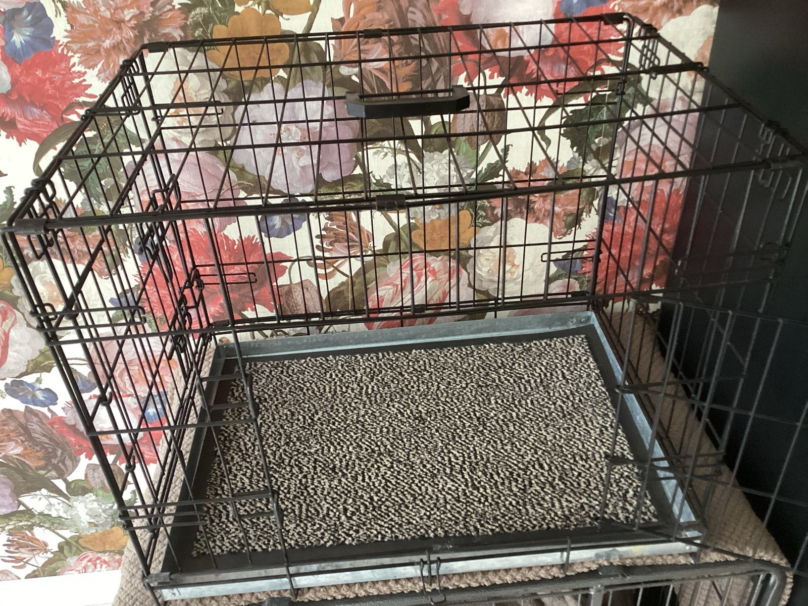 Bench voor honden of katten, Ophalen, Gebruikt