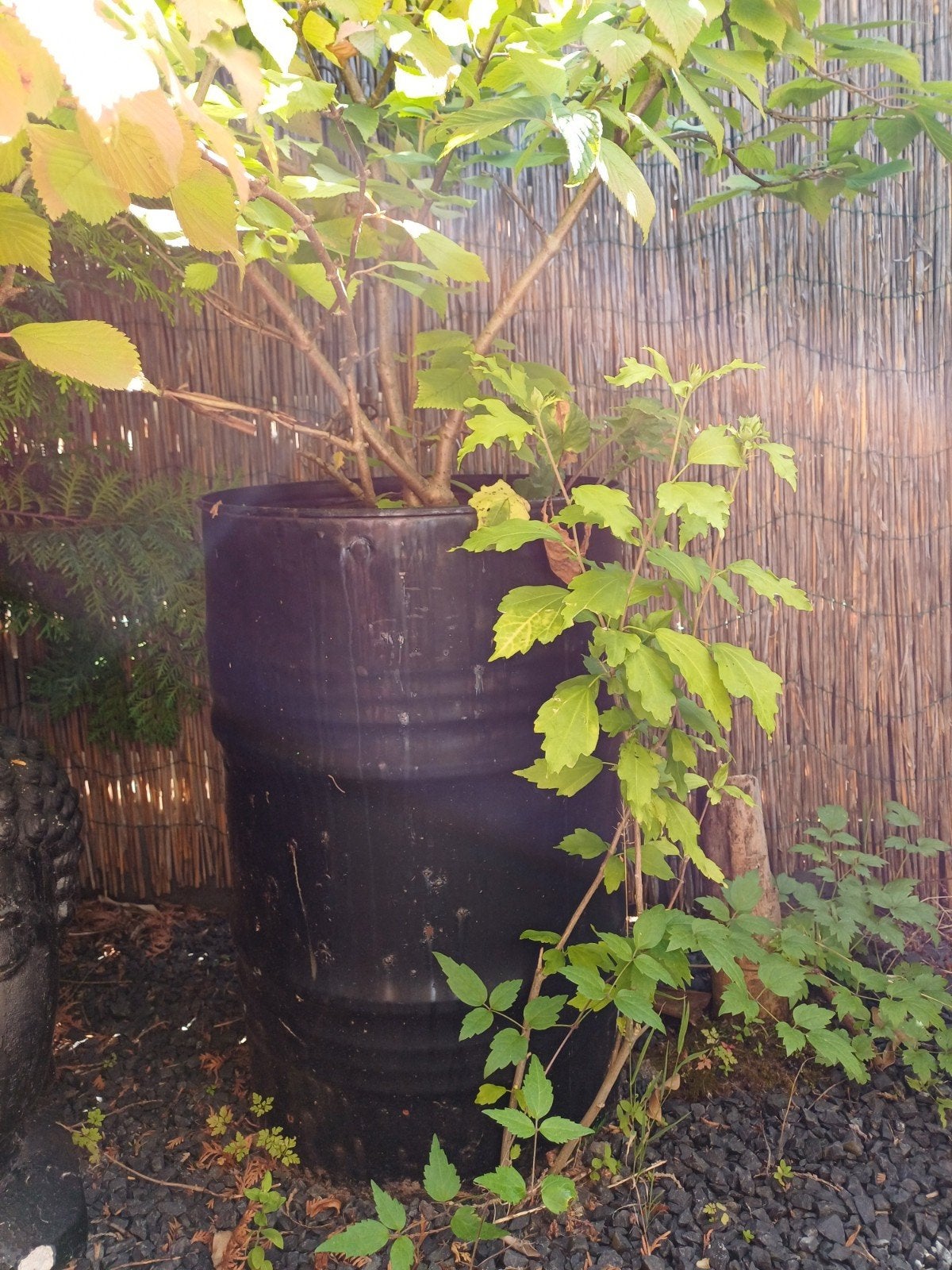 Zwarte metalen plantenbak / bloempot voor buiten, Tuin en Terras, Ophalen, Gebruikt, Minder dan 60 cm, Rond