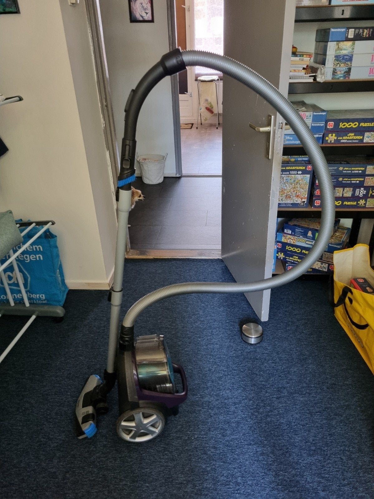 Philips stofzuiger paars., Ophalen, Gebruikt, Philips, Geschikt voor harde vloeren
