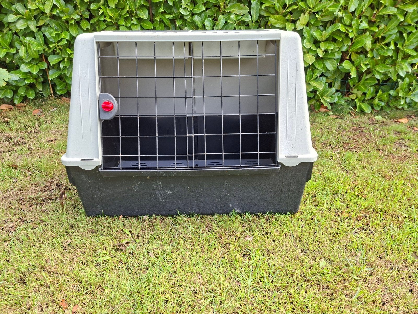 Autobench Ferplast 80 x 51 x 61 cm, Dieren en Toebehoren, Ophalen, Zo goed als nieuw