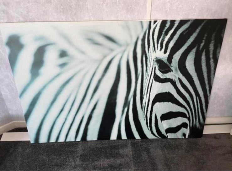 Canvas zebra Ikea Pjatteryd 78x118cm, Ophalen, Zo goed als nieuw, Schilderij, 100 tot 125 cm