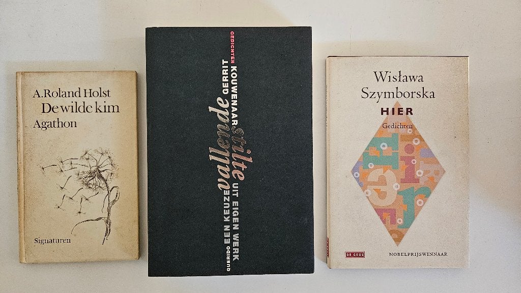 POEZIE, Ophalen of Verzenden, Gelezen, Kunst en Cultuur