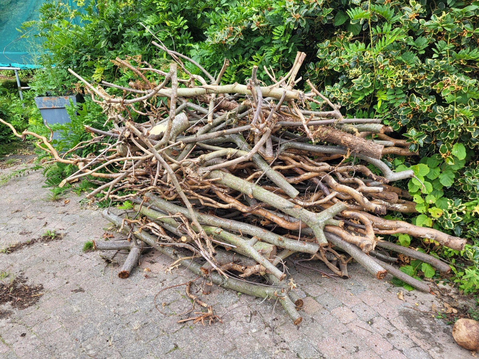 Gratis af te halen: Takken voor brandhout of tuindecoratie, Tuin en Terras, Haardhout, Minder dan 3 m³, Ophalen, Overige houtsoorten