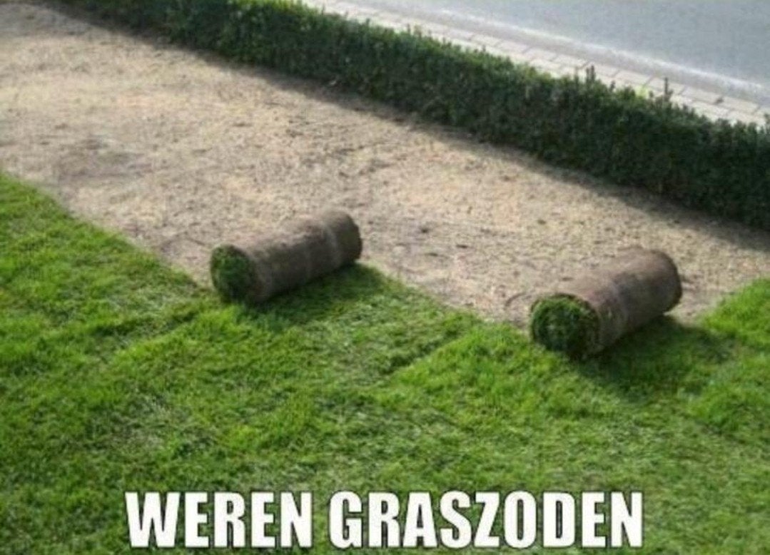 graszoden, grasmatten, gazon, zoden, gras, Tuin en Terras, Ophalen, Nieuw, 20 m² of meer