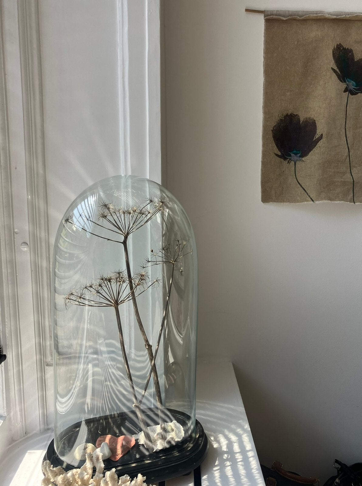 Antieke glazen stolp glas / hout, Ophalen of Verzenden, Zo goed als nieuw