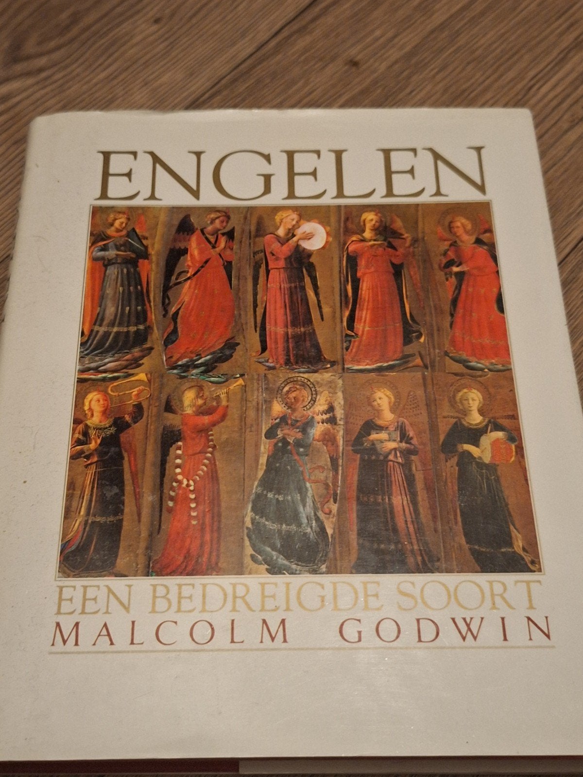 Engelen: Een Bedreigde Soort - Malcolm Godwin, Ophalen of Verzenden, Zo goed als nieuw
