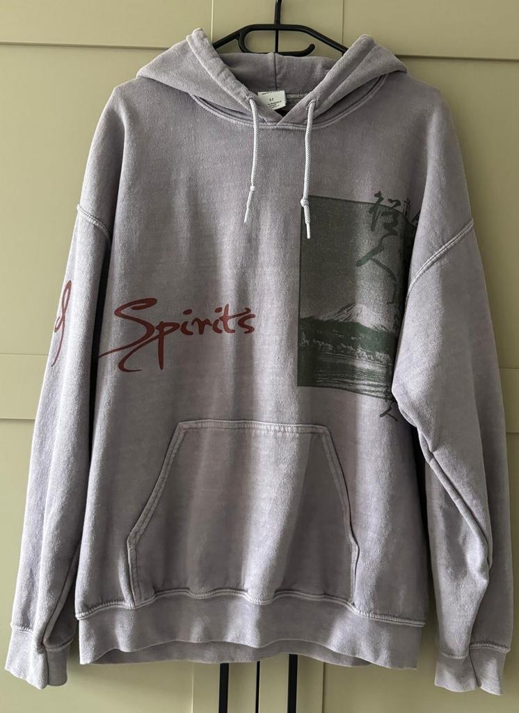 Urban Outfitters Hoodie - Maat S, Ophalen of Verzenden, Gedragen, Maat 46 (S) of kleiner, Grijs
