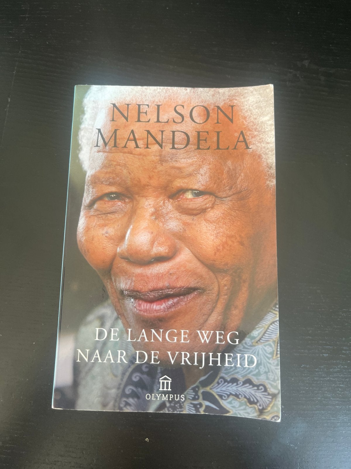 Nelson Mandela - De lange weg naar de vrijheid, Verzenden, Gelezen, Politiek