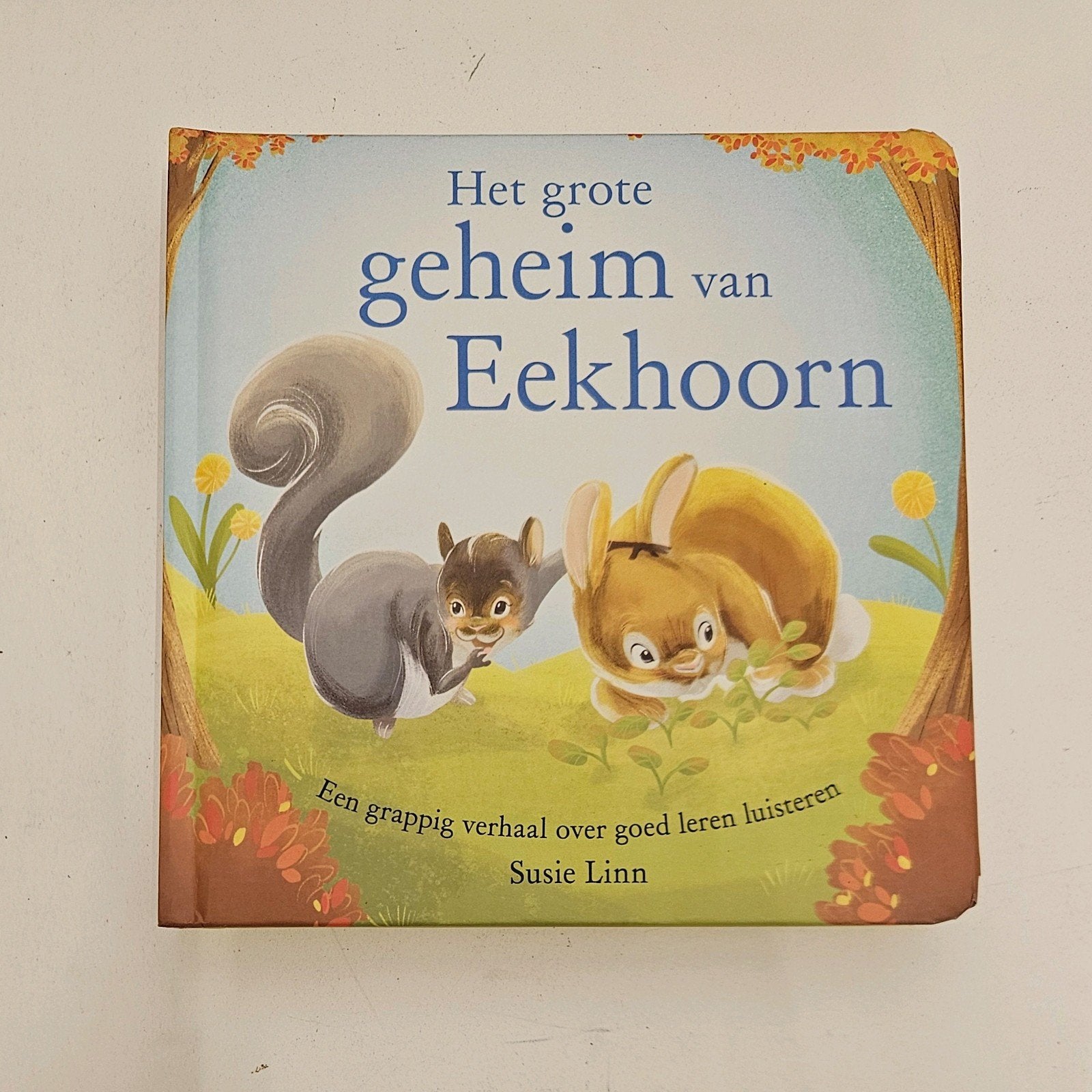 Susie Linn - Het grote geheim van Eekhoorn, Boeken, Fictie algemeen, Susie Linn, Ophalen of Verzenden, Zo goed als nieuw