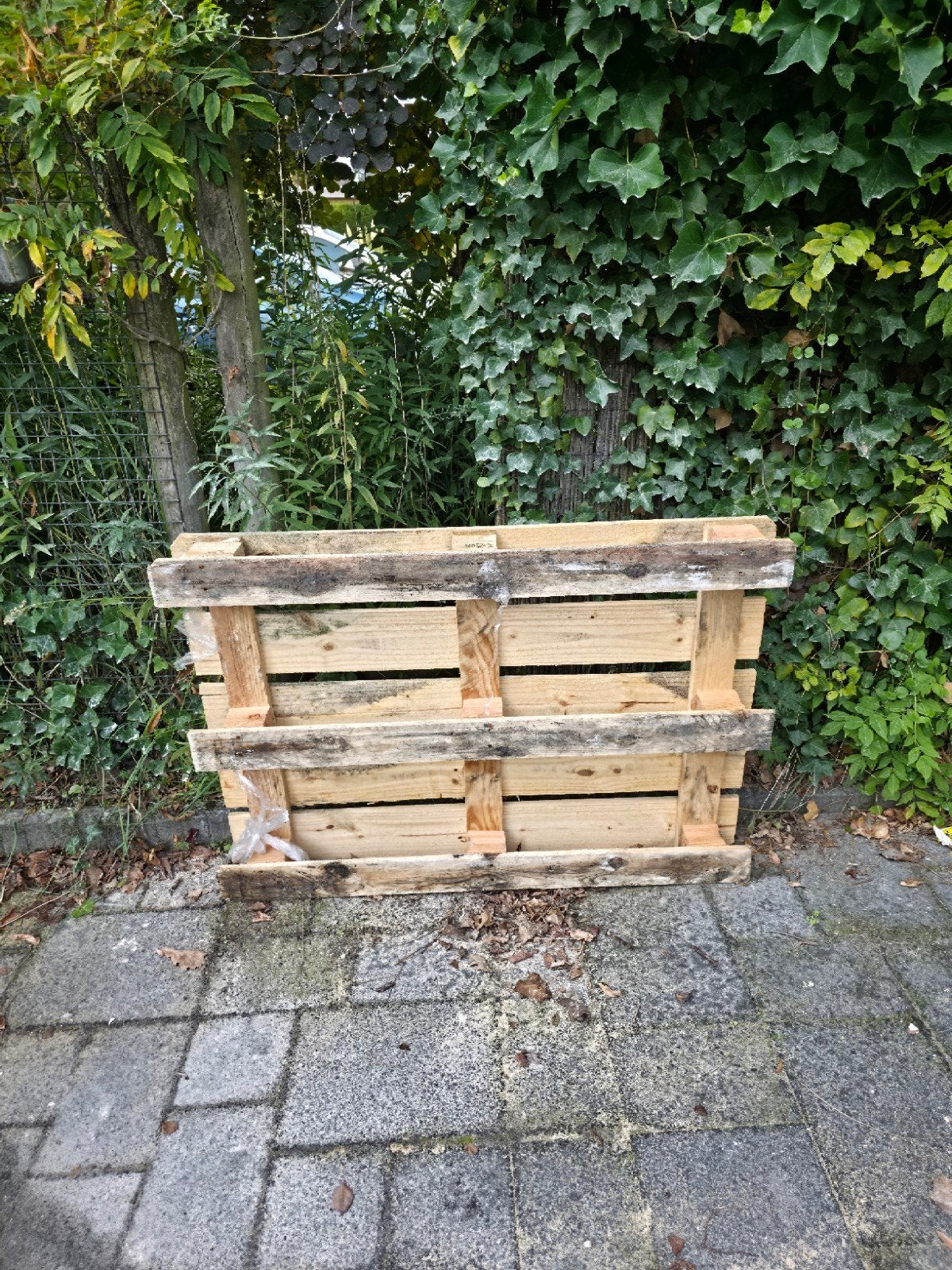 Gebruikt houten pallet - ideaal voor tuinprojecten, Ophalen, Gebruikt, 50 mm of meer, Pallet