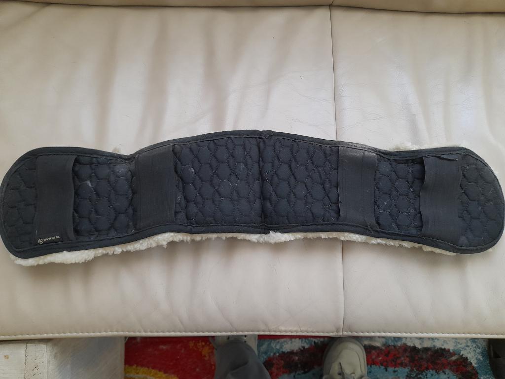 singelbontje wol BR, Dieren en Toebehoren, Ophalen of Verzenden, Zo goed als nieuw, Dressuur