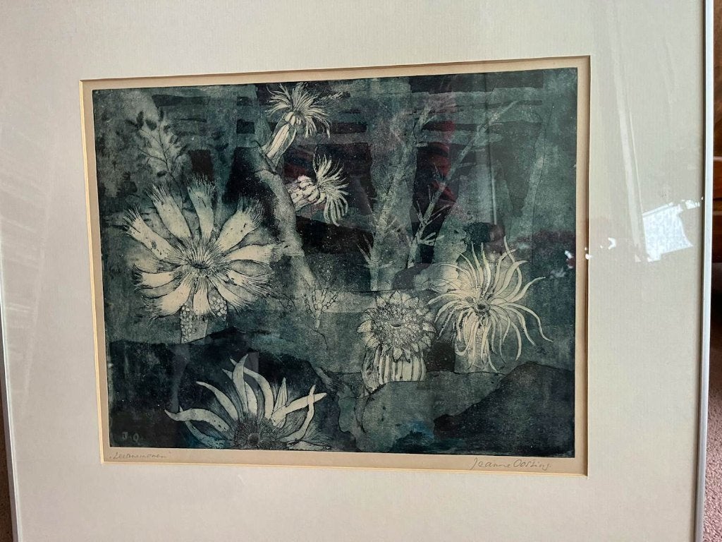 Op zoek: Zeeanemonen Jeanne Bieruma Oosting, Ophalen