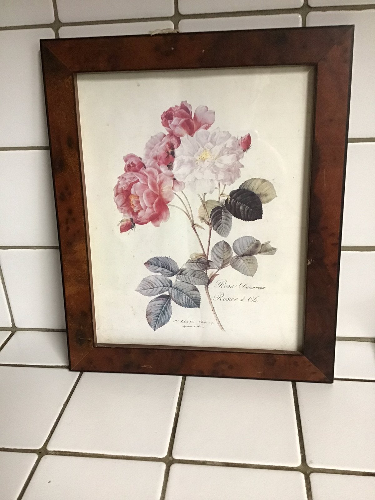 Retro lijst met rozenprint, Huis en Inrichting, Woonaccessoires | Lijsten, Ophalen of Verzenden, Gebruikt, Glas