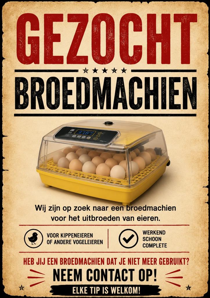 GEZOCHT: BROEDMACHINE, Geslacht onbekend, Kip