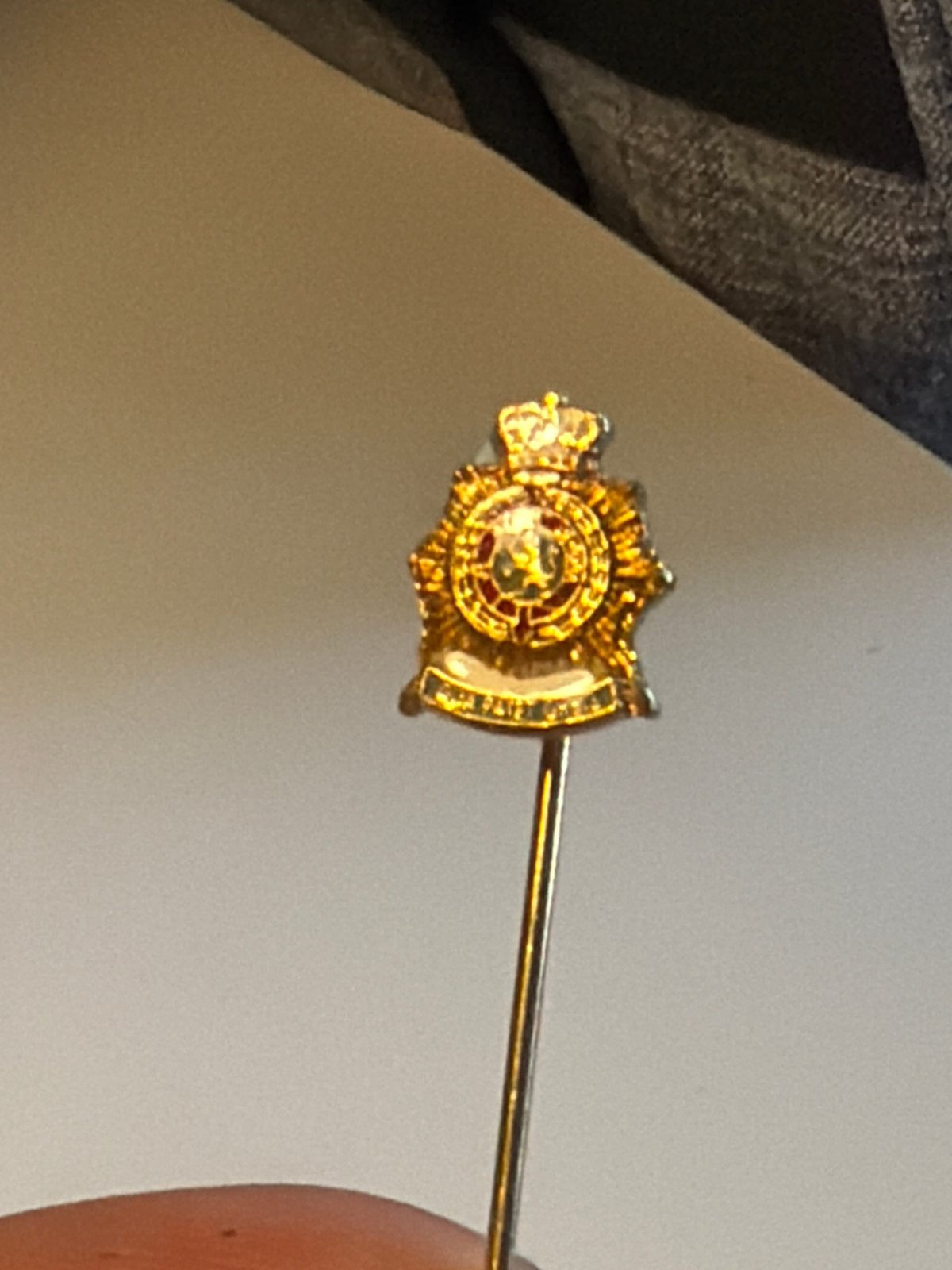 Pin Korps Mariniers, Verzamelen, Ophalen, Gebruikt