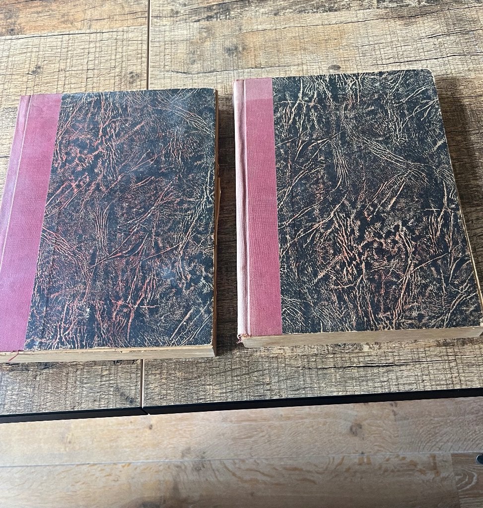 Boeken, Ophalen of Verzenden, Gelezen