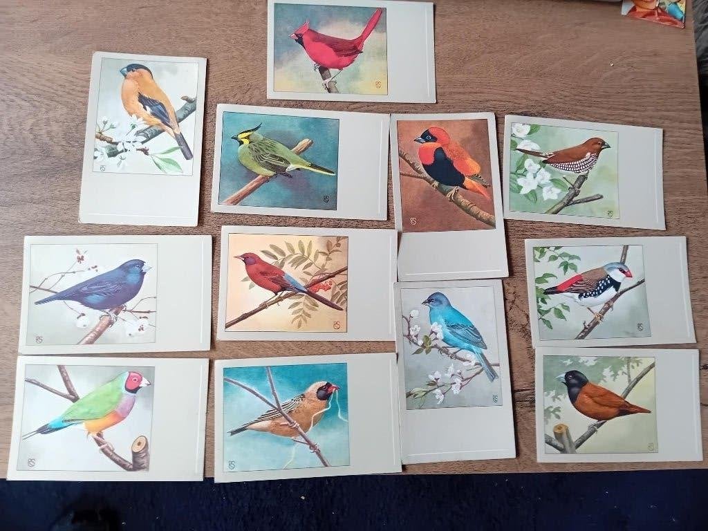 Sluis vogelkaarten serie 1 complete serie 12 stuks, Ophalen of Verzenden, Voor 1920, Ongelopen, Sterren en Beroemdheden