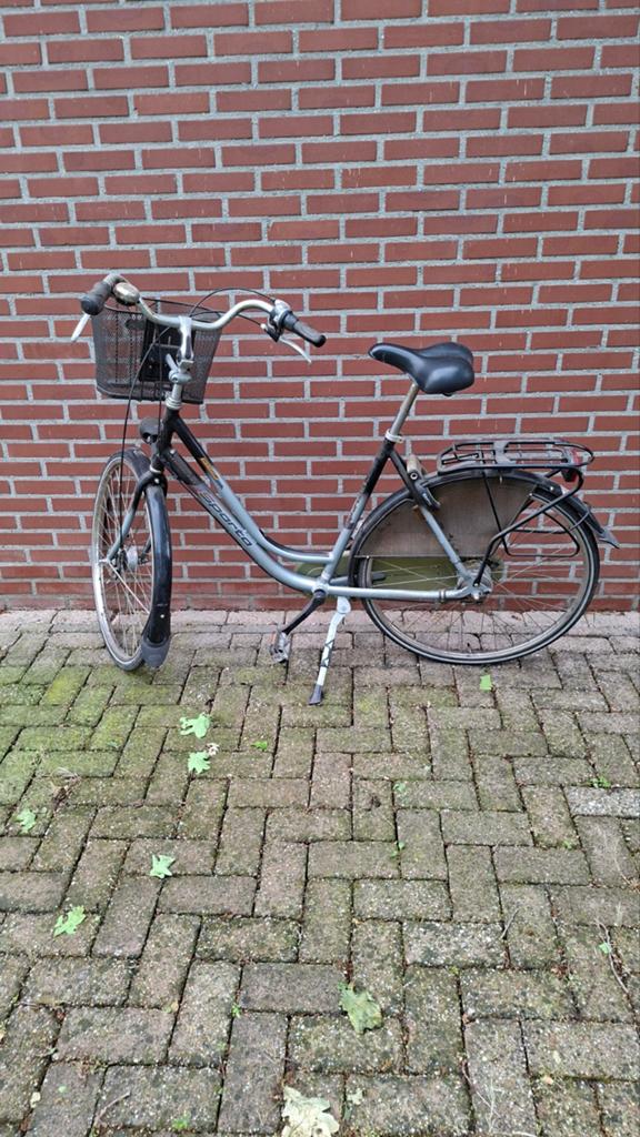 Fiets dames, Ophalen, Gebruikt, Versnellingen, 56 cm of meer