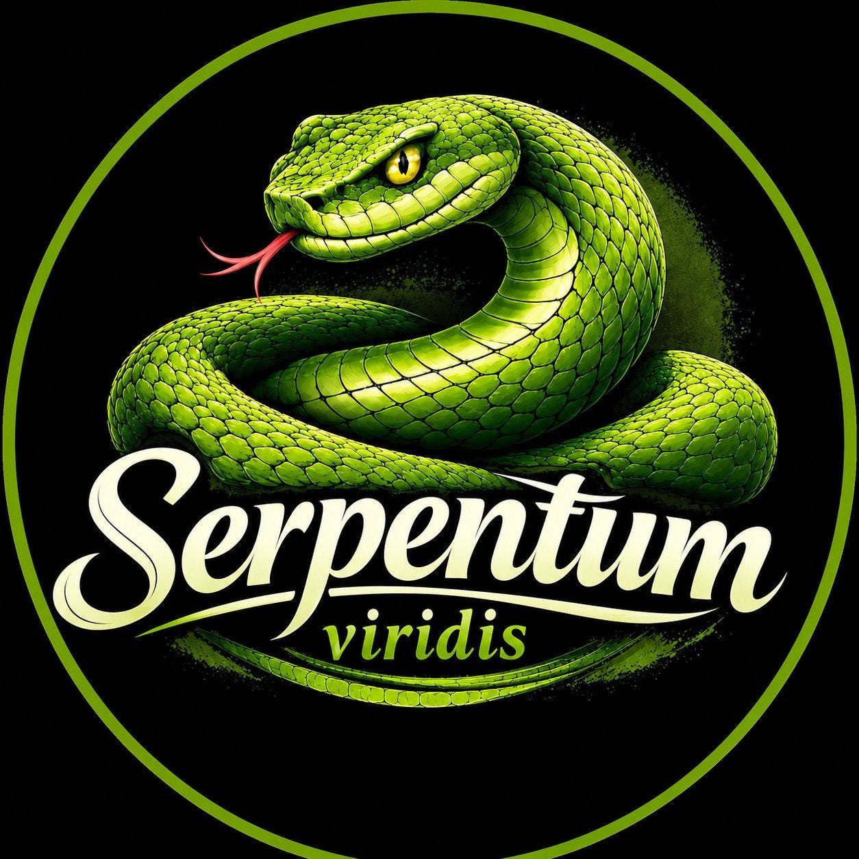 aanwezig op de volgende reptielenbeurzen, Dieren en Toebehoren, Reptielen en Amfibieën, Slang, Tam, 0 tot 2 jaar